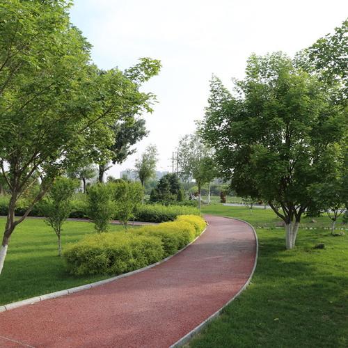 北京绿化工程园林绿化建设施工最专业的公司